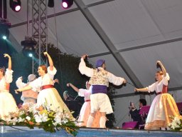 Festival de Folkore en Mula